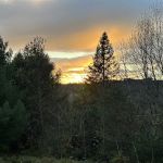Green Mountain Glamping