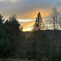 Green Mountain Glamping ico