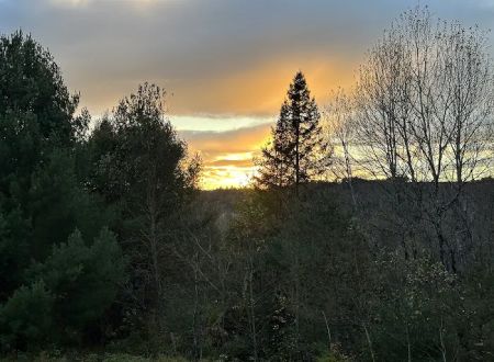 Green Mountain Glamping