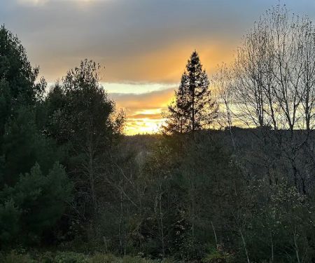Green Mountain Glamping