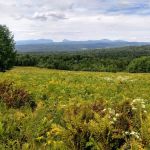 Burke Mountain Campground