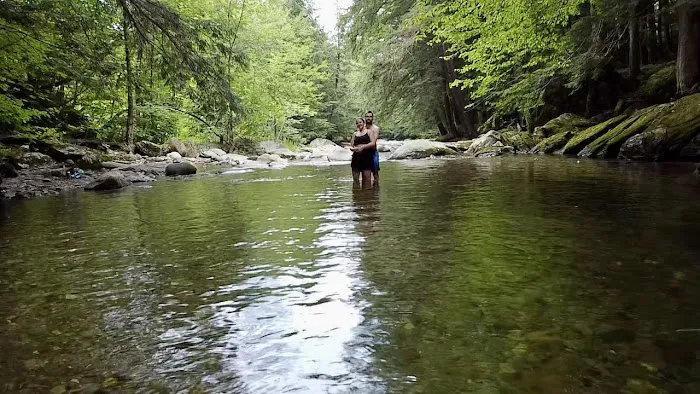 Brewster River Campground Picture 2