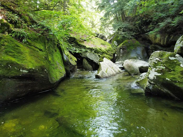 Brewster River Campground Picture 9