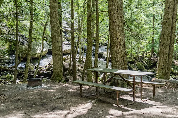 Belview Campground Picture 8