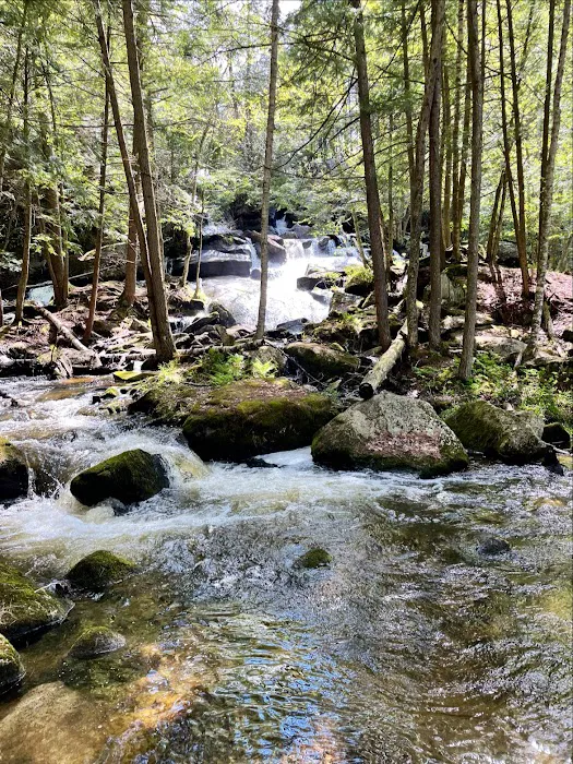 Belview Campground Picture 10
