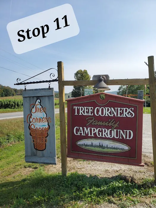 Tree Corners Family Campground Picture 4