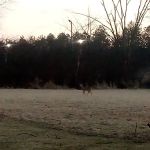 Olwine Mobile Home Park