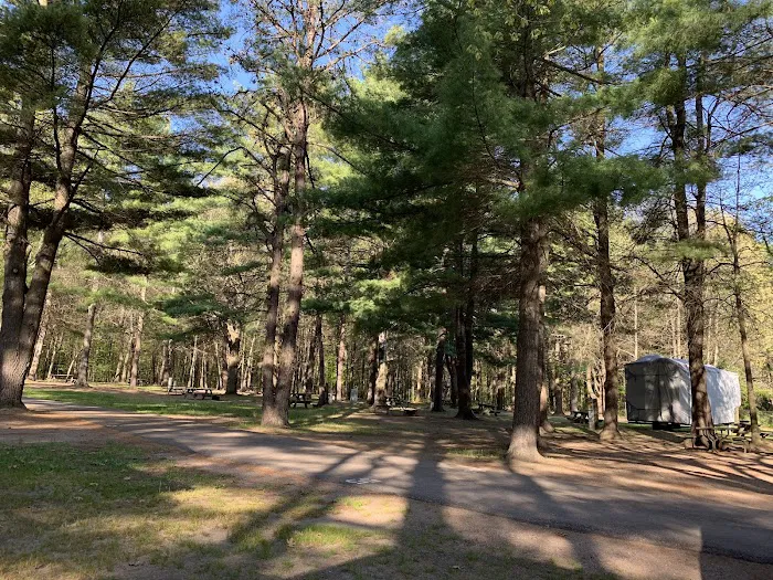 Malletts Bay Campground Picture 7