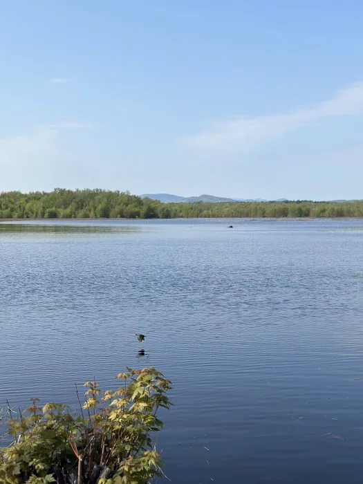 Ausable Point Campground Picture 1