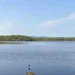 Ausable Point Campground