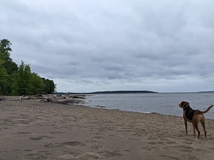 Ausable Point Campground Picture 3