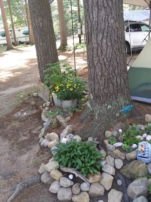 Twin Ponds Resort Campsite Picture 1
