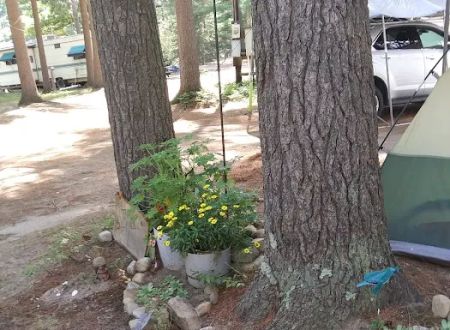 Twin Ponds Resort Campsite