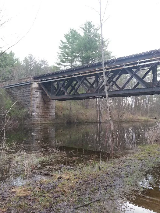 Ausable Pines Campground & RV Picture 6