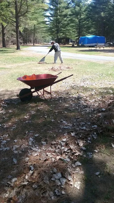 Ausable Pines Campground & RV Picture 4