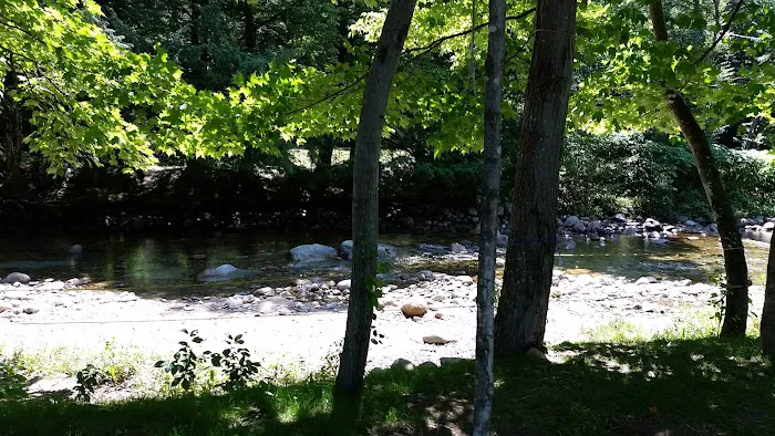Country Bumpkins Campground and Cabins Picture 2