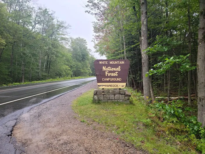 Hancock Campground Picture 6
