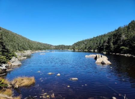 Kinsman Pond Shelter