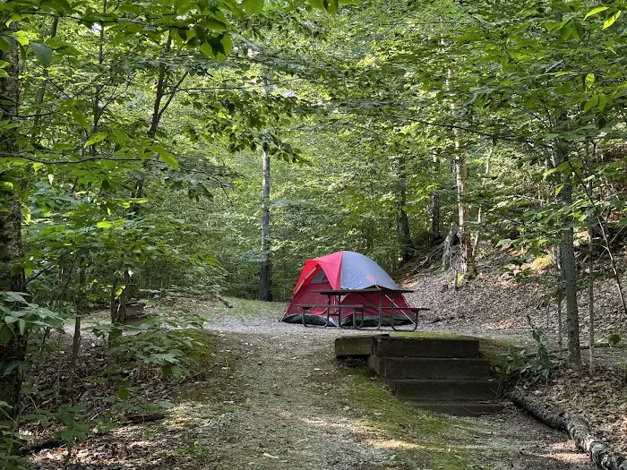 Big Rock Campground Picture 5