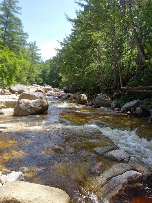 Big Rock Campground Picture 4