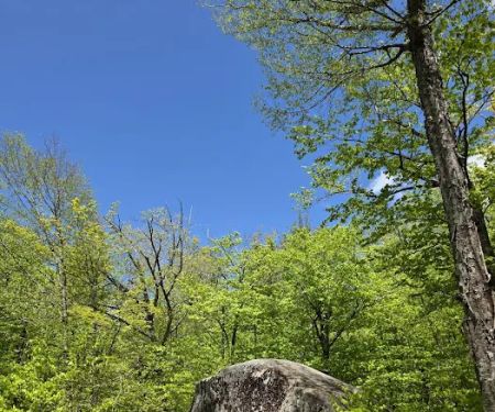 Big Rock Campground
