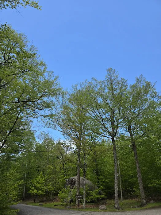 Big Rock Campground Picture 2