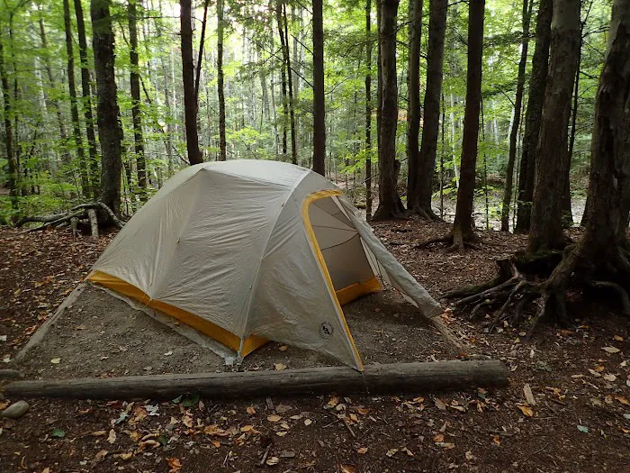 Franconia Brook Tentsite Picture 4