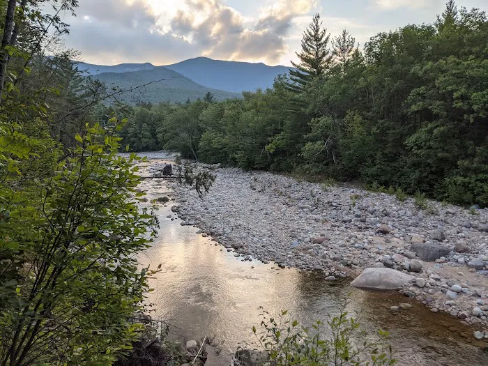 Franconia Brook Tentsite Picture 6