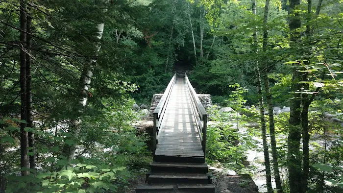 Franconia Brook Tentsite Picture 2