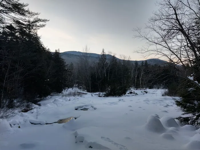 Franconia Brook Tentsite Picture 1