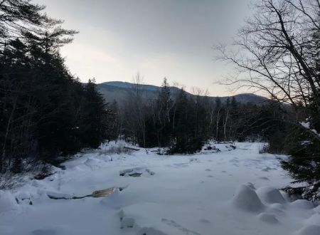 Franconia Brook Tentsite