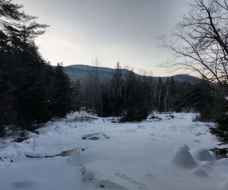 Franconia Brook Tentsite