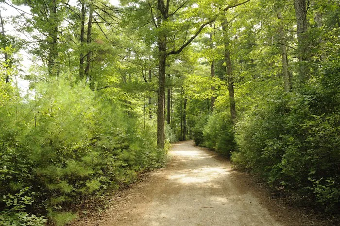 Thousand Trails Gateway to Cape Cod Picture 8