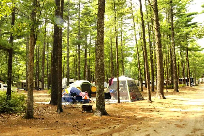 Thousand Trails Gateway to Cape Cod Picture 2