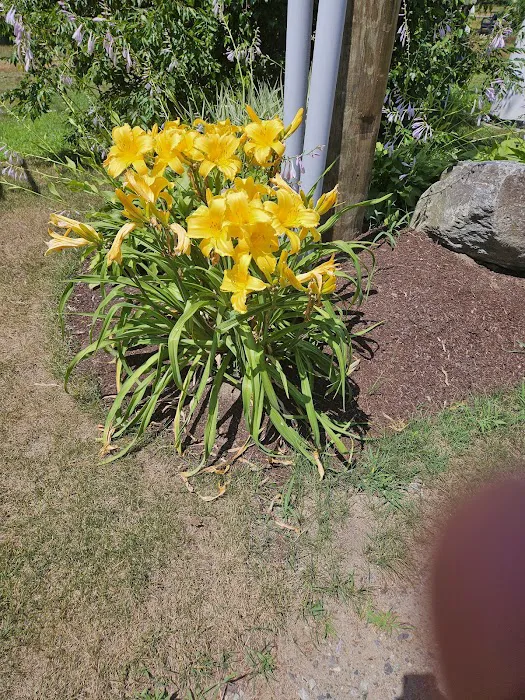 Yellowstone Park Camp Resort Picture 8