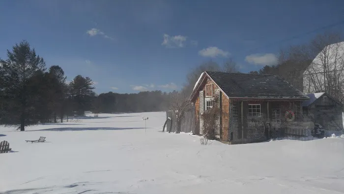 Pinederosa Camping Area Picture 6