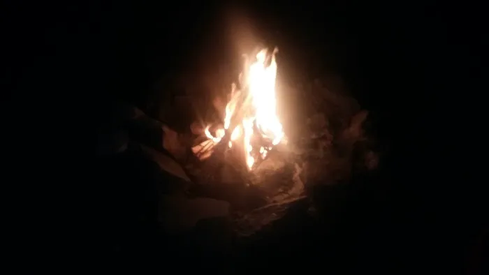 Pinederosa Camping Area Picture 2