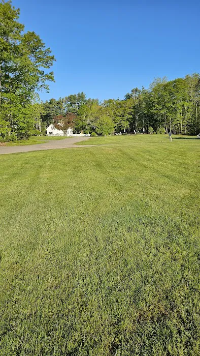 Pinederosa Camping Area Picture 7