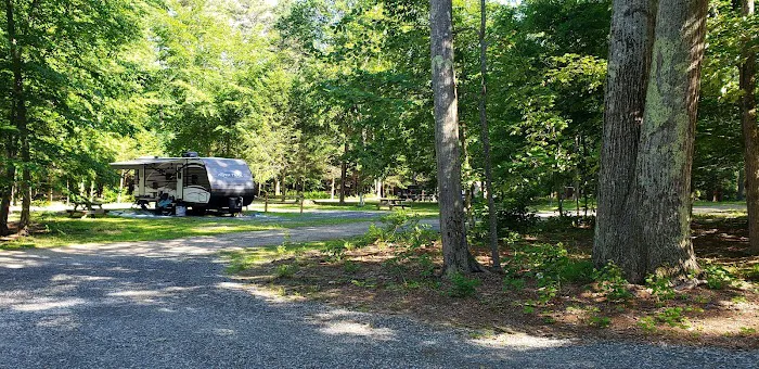 Pinederosa Camping Area Picture 1