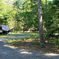 Pinederosa Camping Area ico