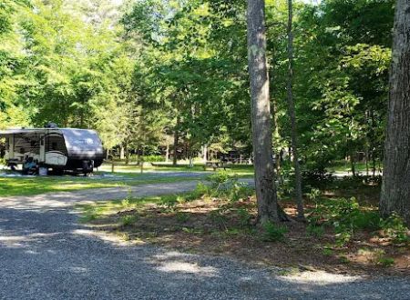 Pinederosa Camping Area