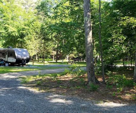 Pinederosa Camping Area