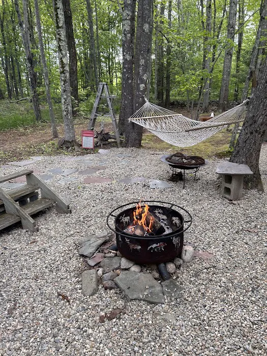 Coastal Woods Campground Picture 4