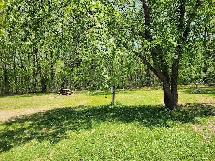 Coastal Woods Campground Picture 6