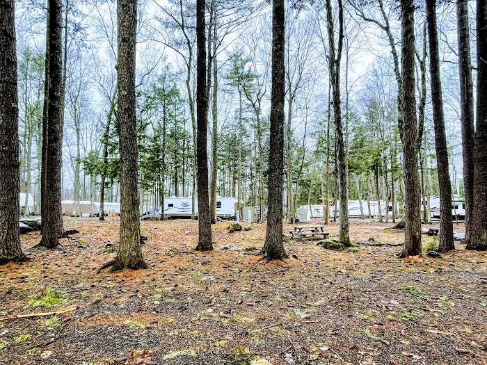 Spacious Skies Campgrounds - Walnut Grove Picture 8