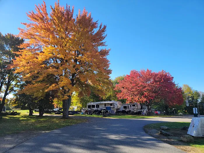 Spacious Skies Campgrounds - Walnut Grove Picture 10