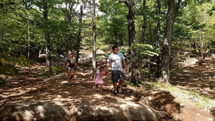Full Wellness Retreat at Fort Ridge Picture 6