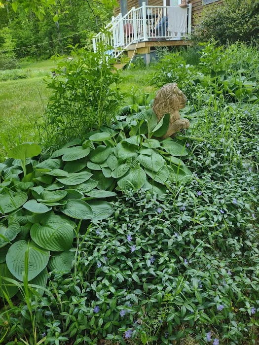 Full Wellness Retreat at Fort Ridge Picture 10
