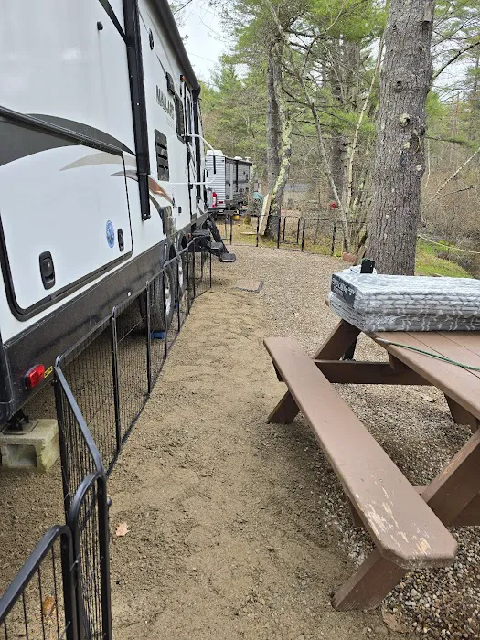 Beaver Hollow Campground Picture 7