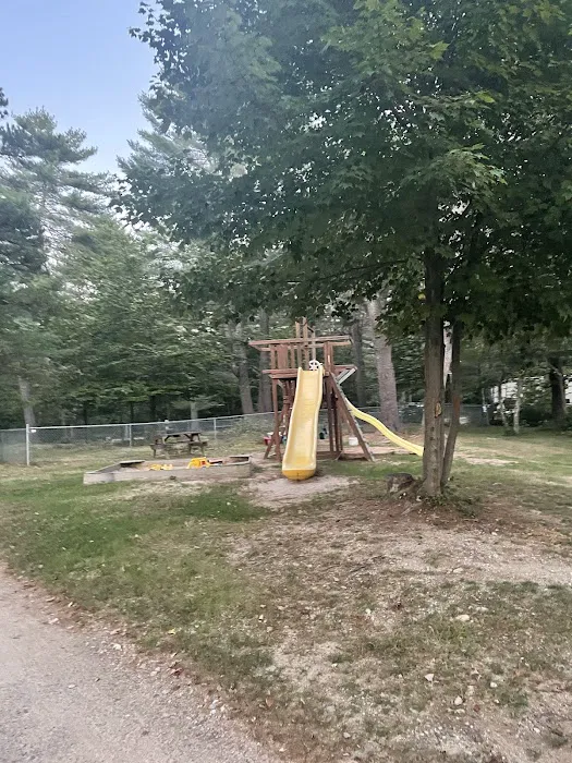 Beaver Hollow Campground Picture 9